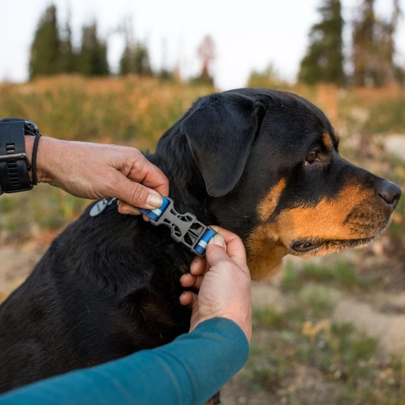 Ruffwear Web Reaction™ Collar Hundehalsband