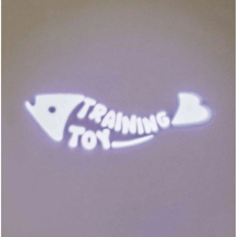 LED Laserpointer für Katzen