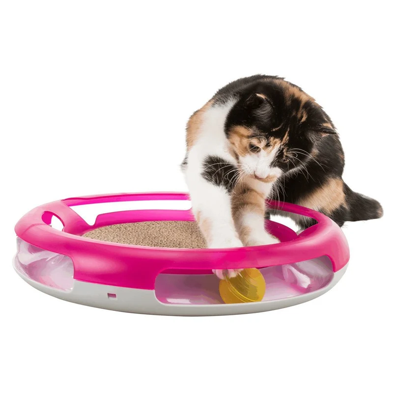 Race & Scratch Katzenspielzeug
