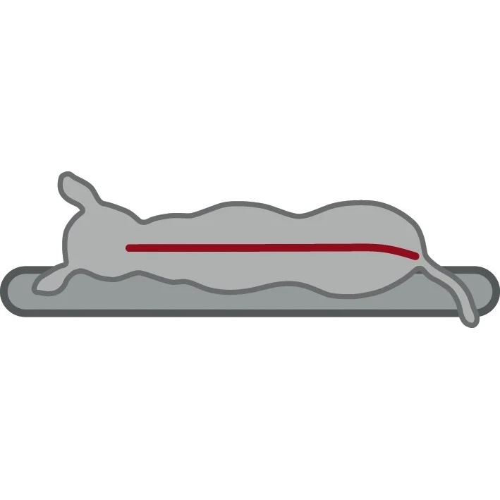 Trixie Vital Hundesofa Bendson