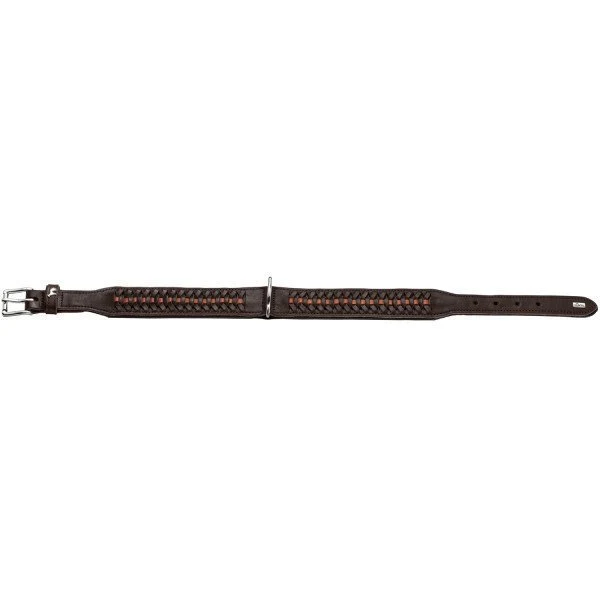 Hunter Halsband Solid Education Exclusive