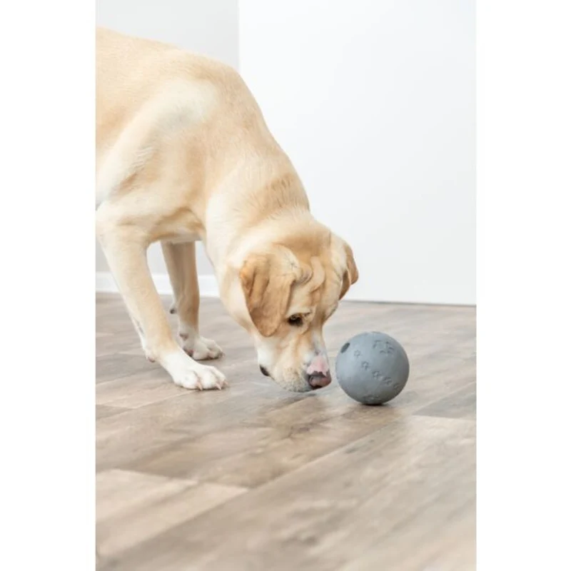 Labyrinth-Snacky Hunde Snackball