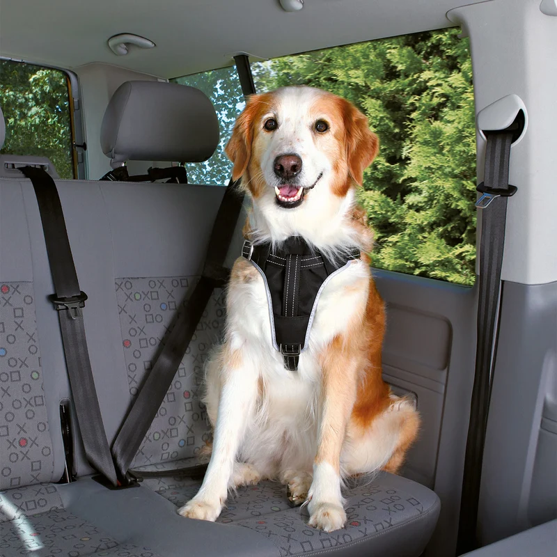 Auto Hundegeschirr Dog Protect