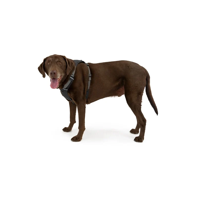 Ruffwear Hi Light Harness Hundegeschirr