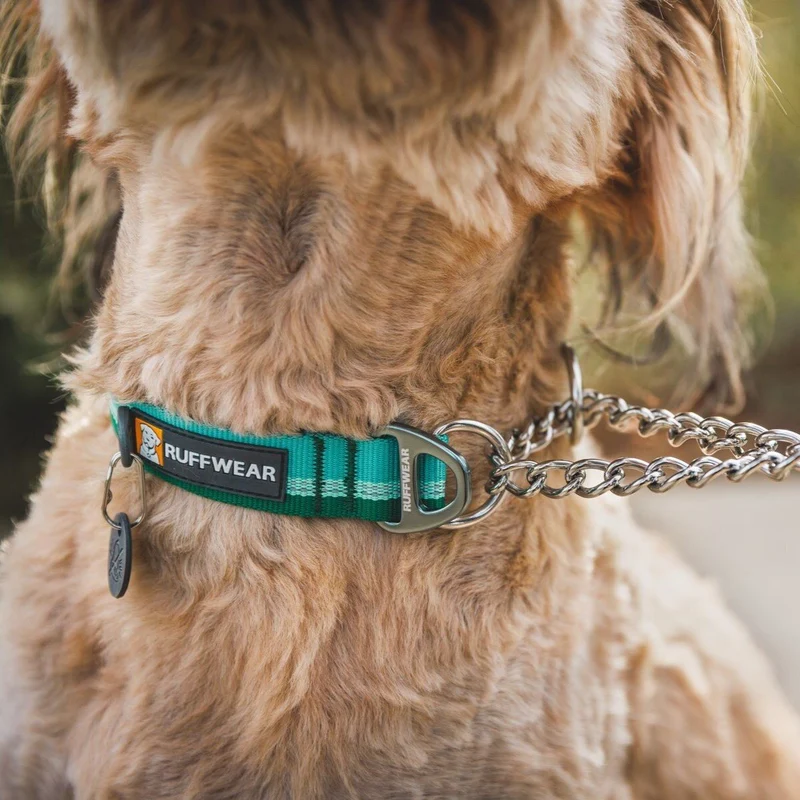 Ruffwear Hundehalsband Chain Reaction™