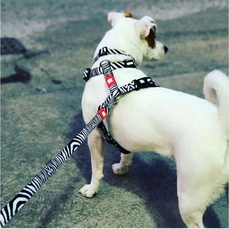 Max & Molly Original Kurzleine Zebra Classic