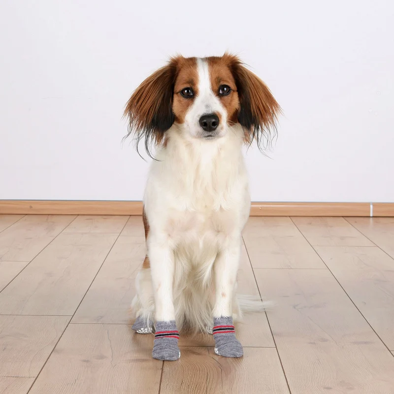 Anti Rutsch Hundesocken aus Baumwolle