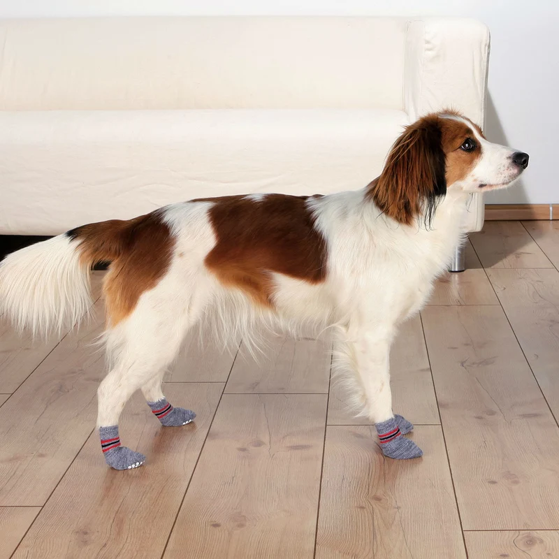 Anti Rutsch Hundesocken aus Baumwolle
