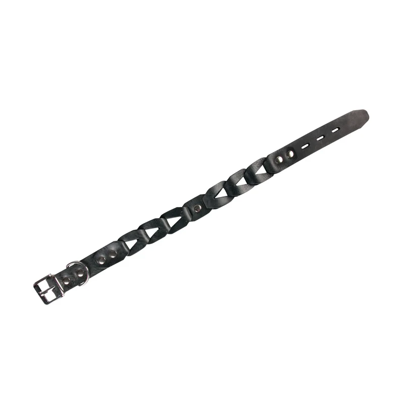 Lederhalsband Connex für Hunde