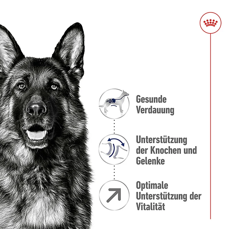 Royal Canin Maxi Adult 5+ Hundefutter