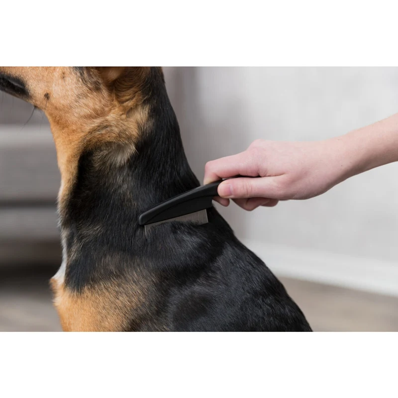 Flohkamm Läusekamm für kleine Hunde