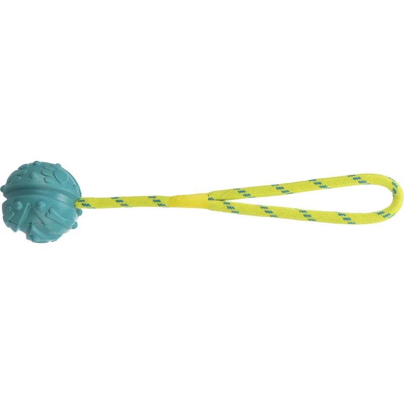 Aqua Toy Hundeball am Seil