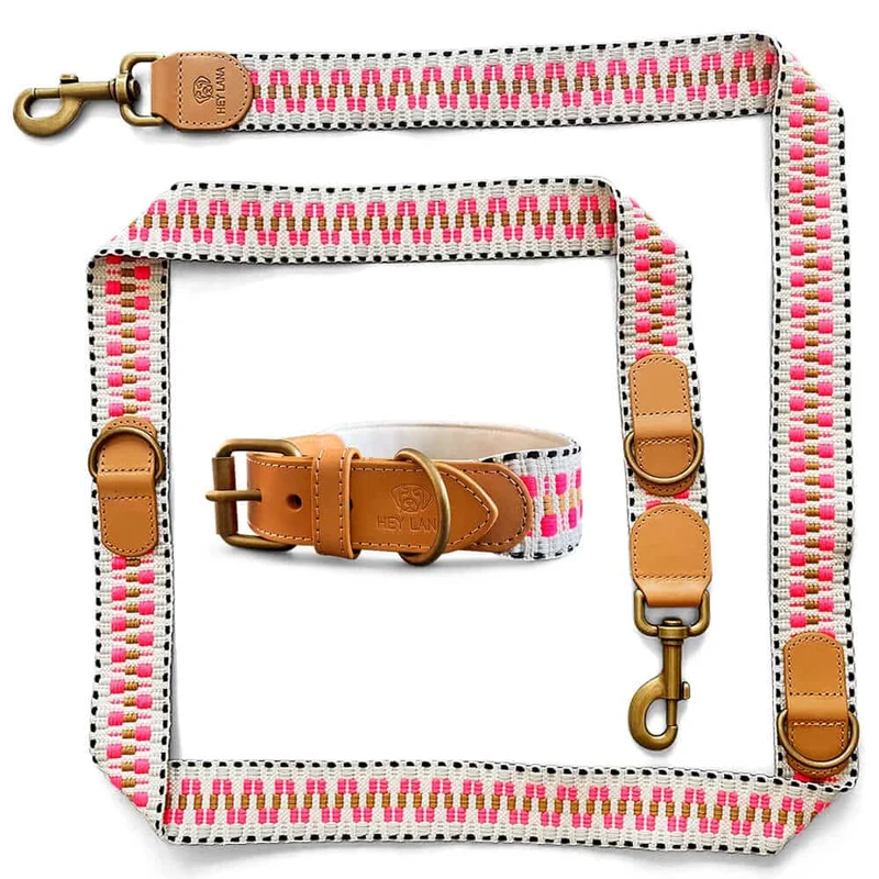 Sparset: Halsband & Leine in Pink/Beige