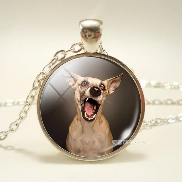 Dog Photo Glass Dome Necklace