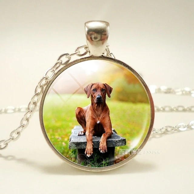 Dog Photo Glass Dome Necklace