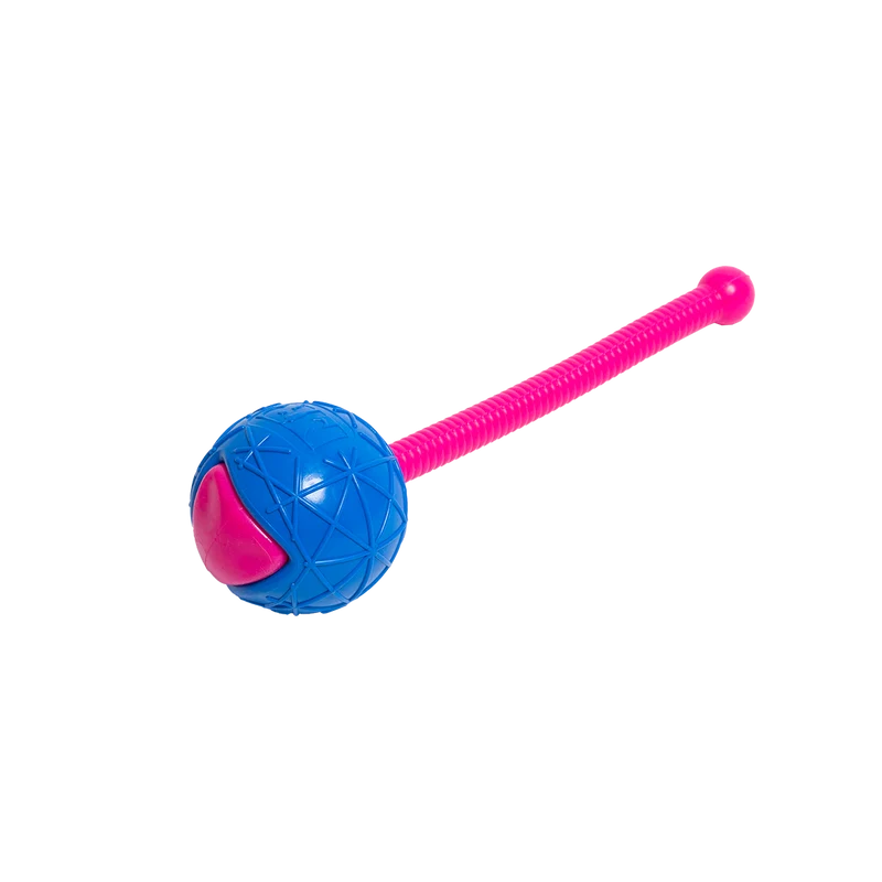 FunkyBall mit Wurfstick Bundle