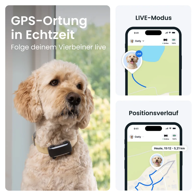 GPS Tracker Tractive Dog 6 XL