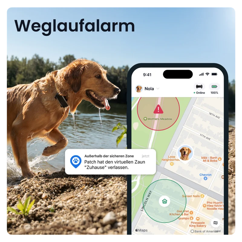 GPS Tracker Tractive Dog 6 XL