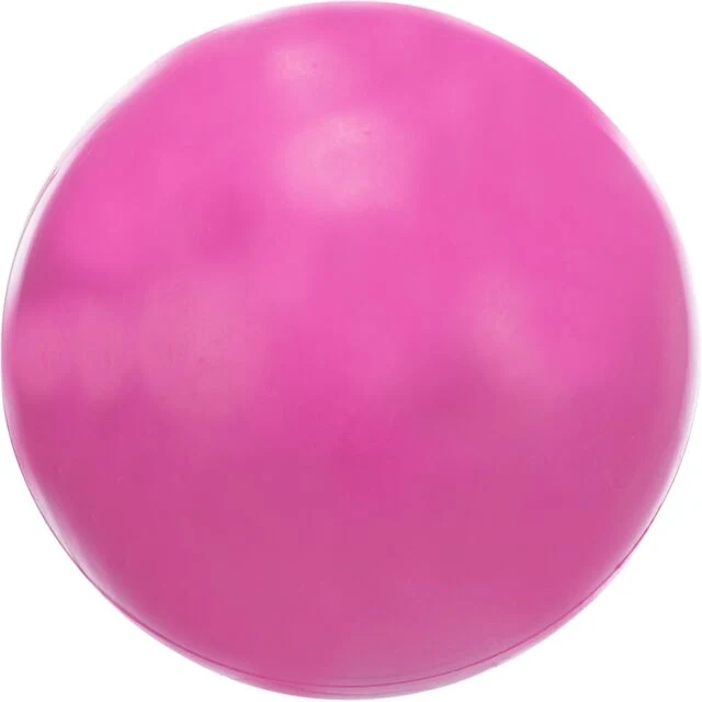 Hundeball aus Gummi