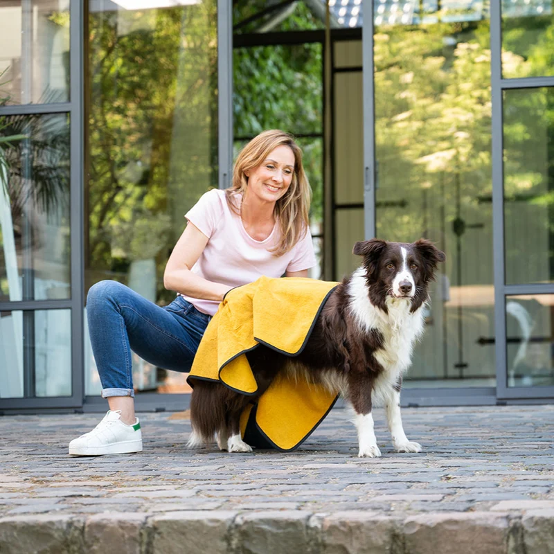 Pflegeset PREMIUM – Komplett-Pflege für Hunde