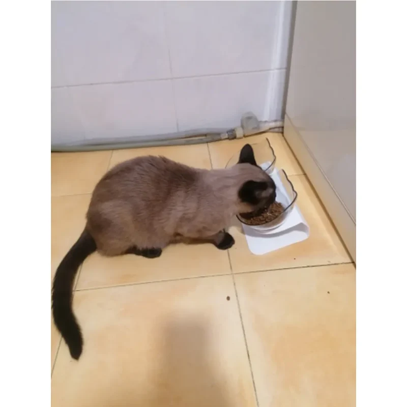 Durable Double Bowls Pet Food Water Feeder With Raised Stand Protection Cervical Non-slip Cat Bowl Dog Bowl Cat Dogs Feeder