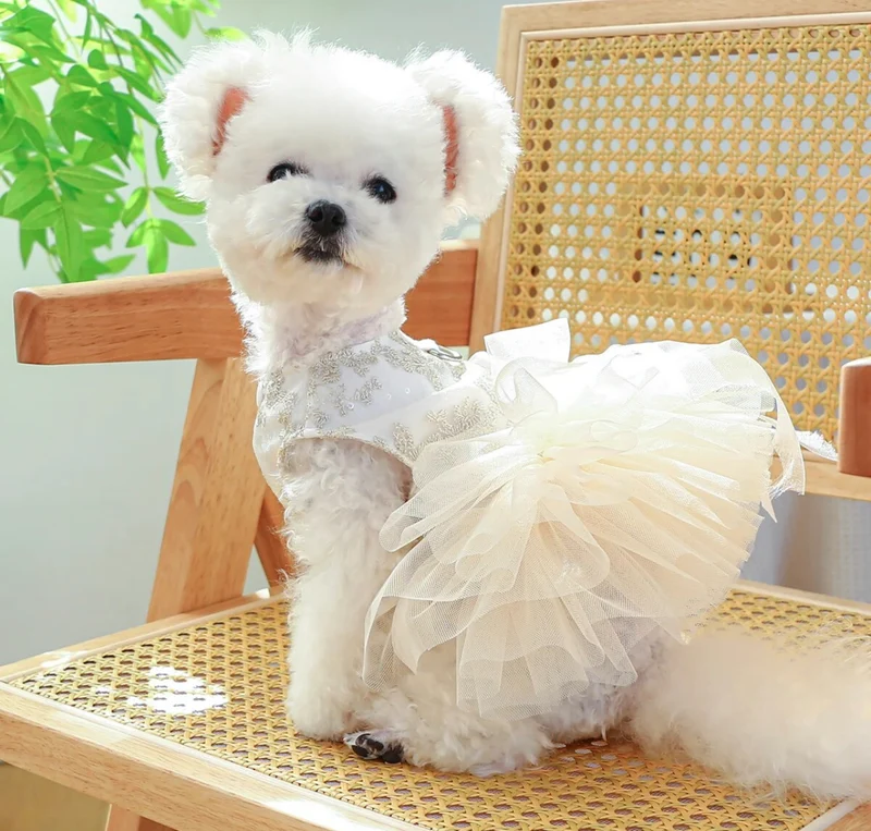 Ivory Cream Bridal Dog Wedding Dress