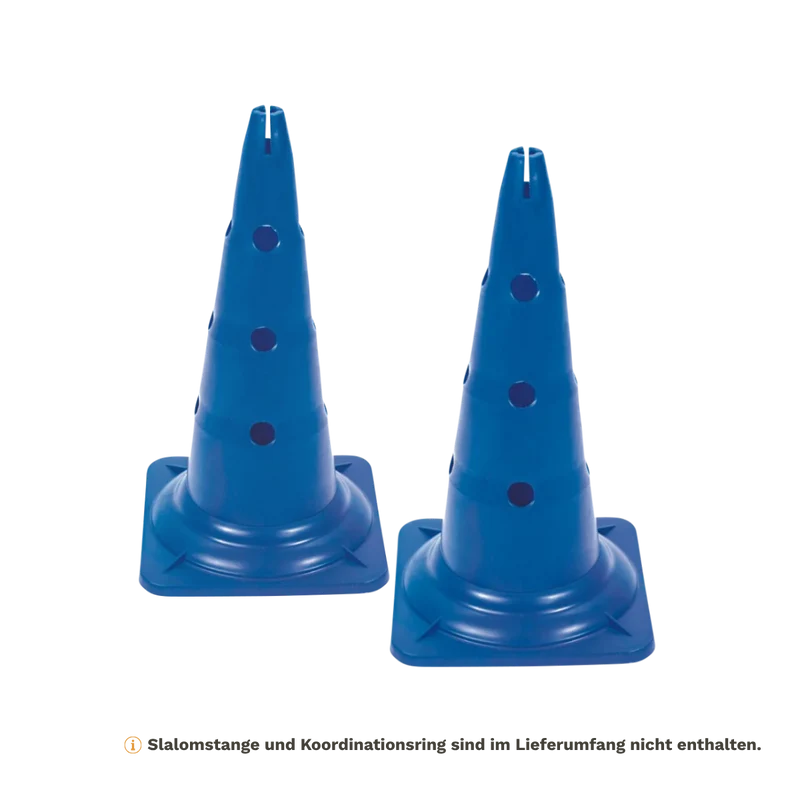 Agility Pylone
