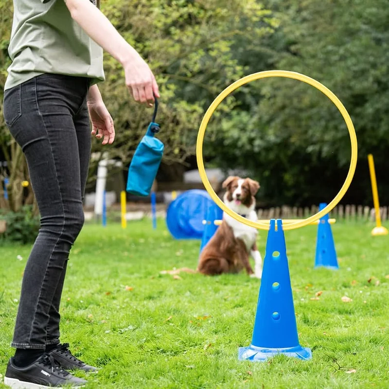 Agility Koordinationsring Ø 60 cm