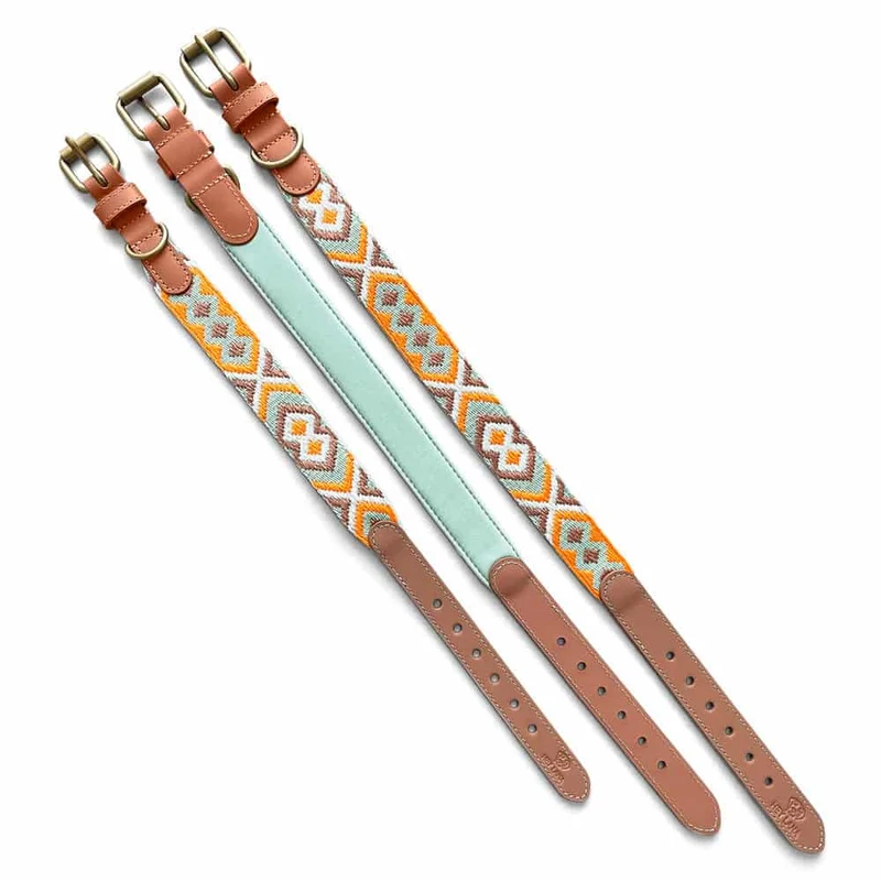 Hundehalsband – Mint/Orange – Kollektion Très Chic Hey Lana