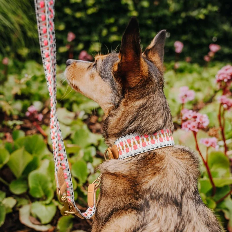 Hundehalsband – Pink/Beige – Kollektion Très Chic Hey Lana