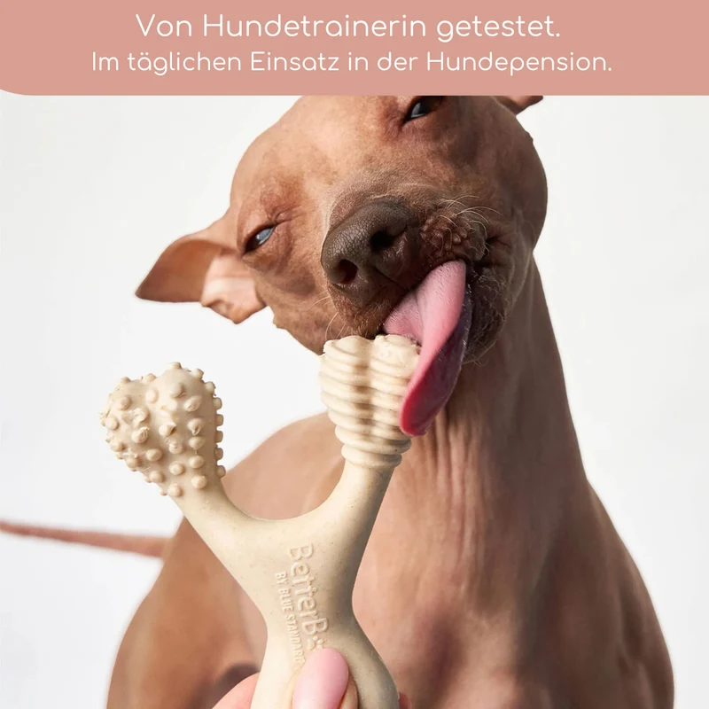 BetterBone Hundeknochen – Nachhaltig, Zahnfreundlich & Langlebiges Kauspielzeug