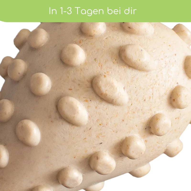BetterBone Hundeknochen – Nachhaltig, Zahnfreundlich & Langlebiges Kauspielzeug