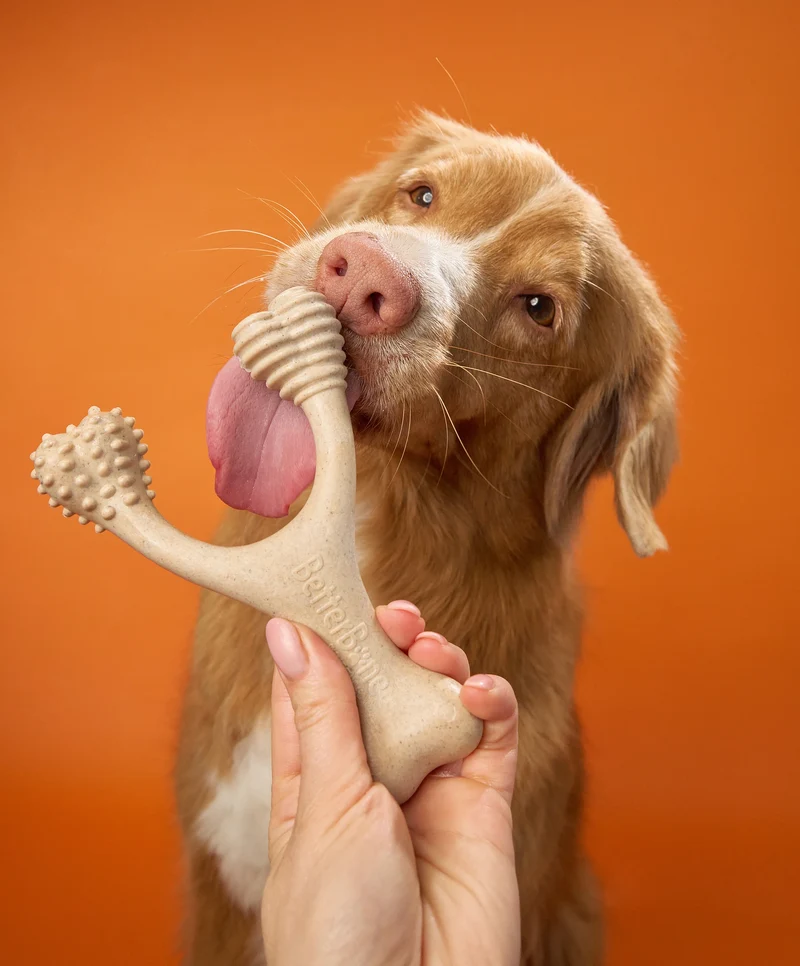 BetterBone Hundeknochen – Nachhaltig, Zahnfreundlich & Langlebiges Kauspielzeug