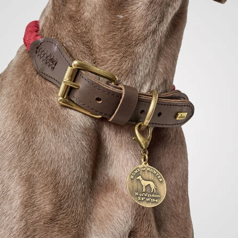 HUNTER - List mit Leder | Hundehalsband