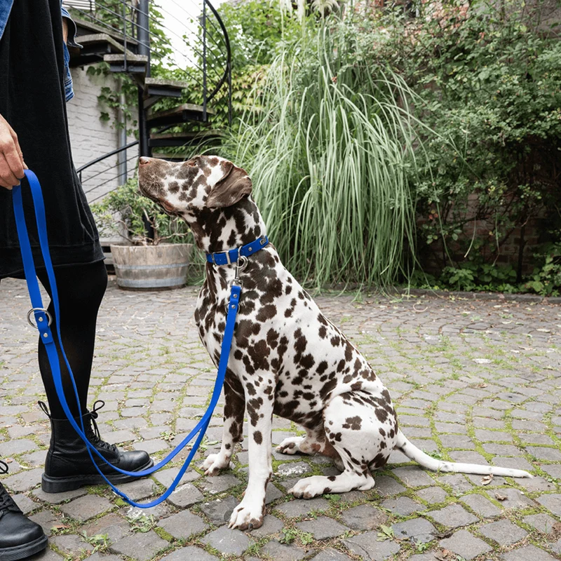 Führleine Soft Vinyl Kobaltblau