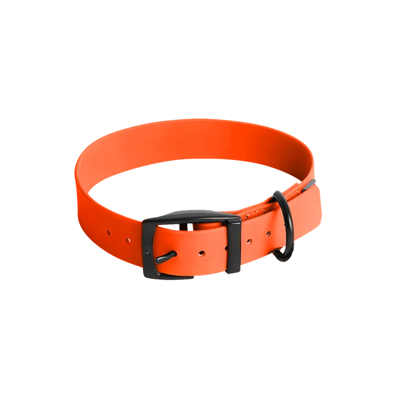 Hundehalsband Soft Vinyl Neonorange