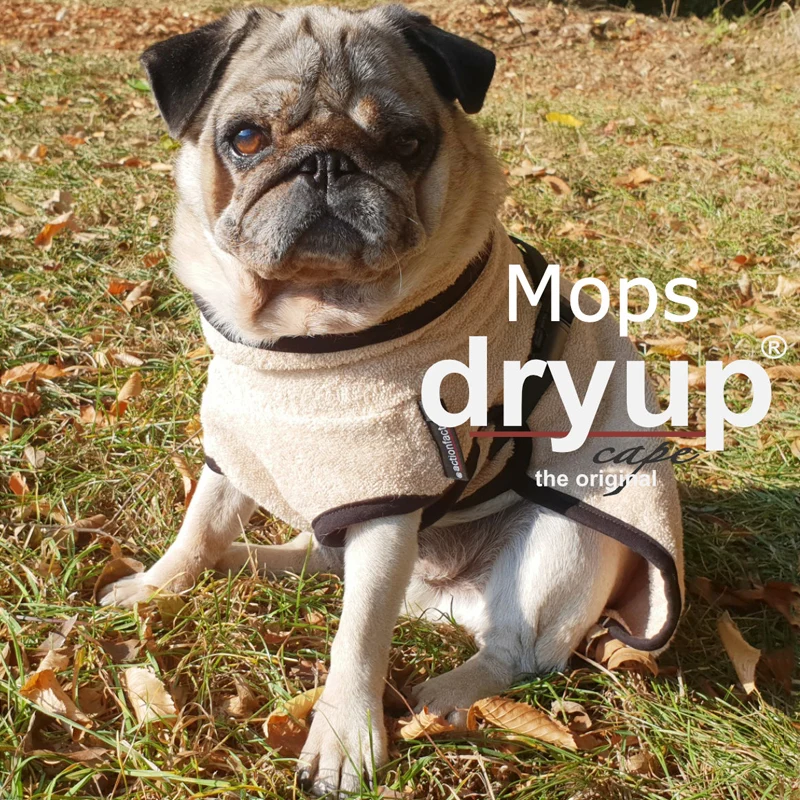 DryUp Cape Mops & Co | Hundebademantel - mit angepasstem Schnitt für Mops & Französische Bulldogge