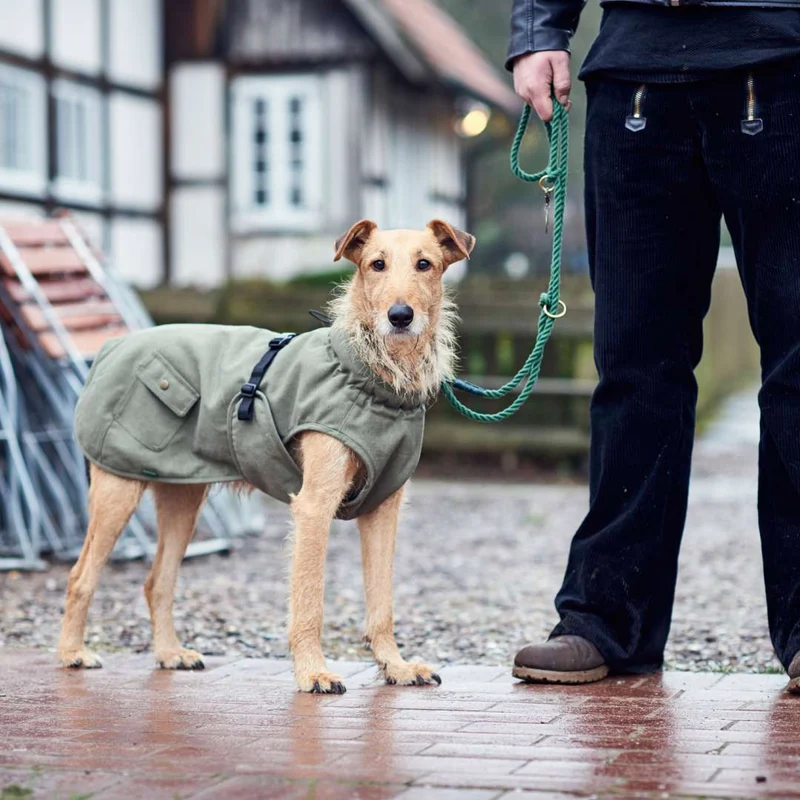 HUNTER - Uppsala Trend | Hundemantel