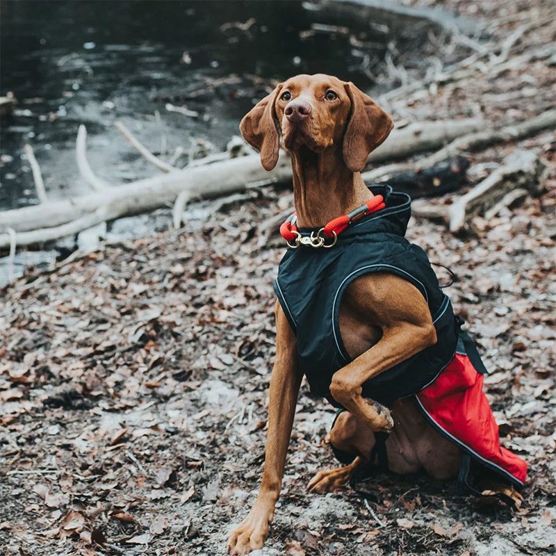 HUNTER - Uppsala Allrounder | Hundemantel