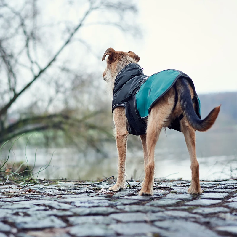 HUNTER - Uppsala Allrounder | Hundemantel