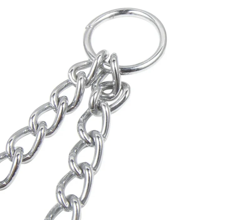 Double Dog Leash - Stainless Steel
