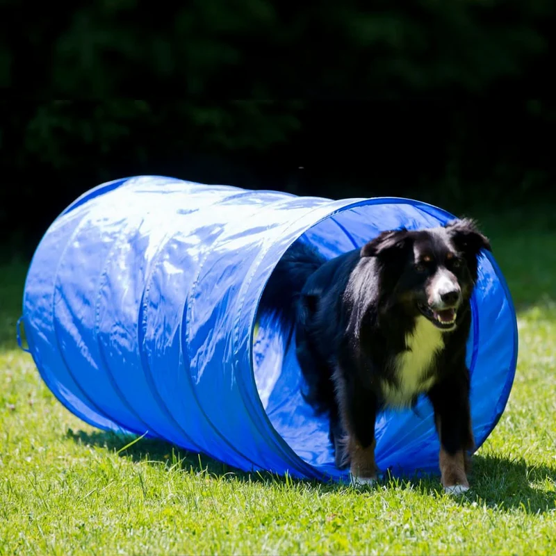 Agility Starter-Trainingsset 9-teilig