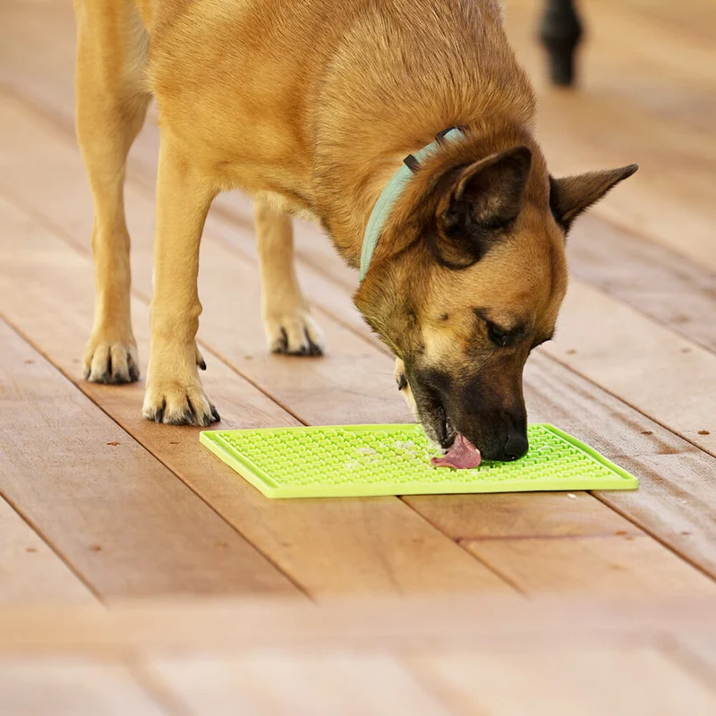 LickiMat - BUDDY LARGE | beruhigende Leckmatte für Deinen Hund