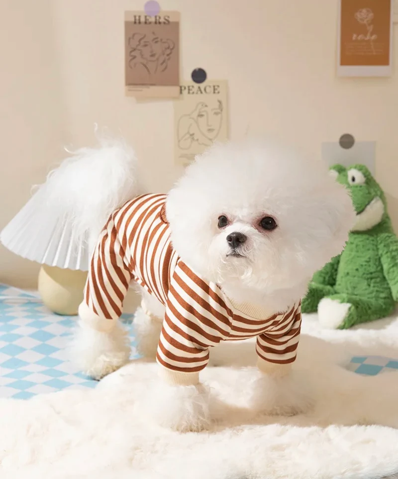 Teddy Bear Jump Suit
