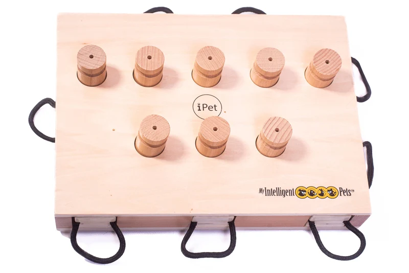 iPet – Smart Dog Intelligenzspielzeug