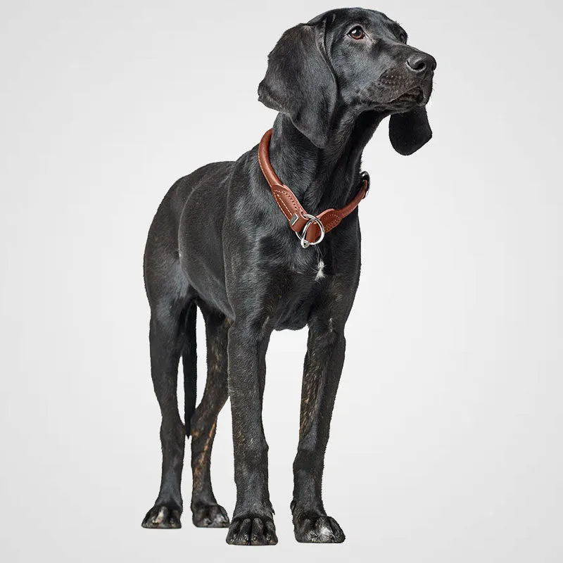 HUNTER - Dressurhalsung Round & Soft Canadian Up | Hundehalsband mit Zugstopp