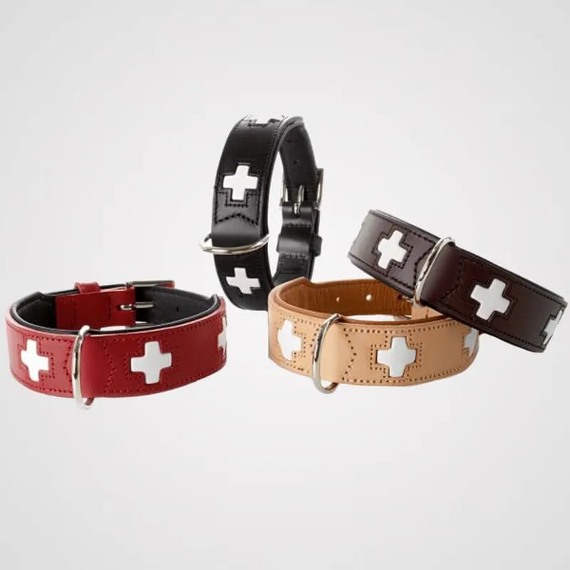 HUNTER - Swiss | Hundehalsband