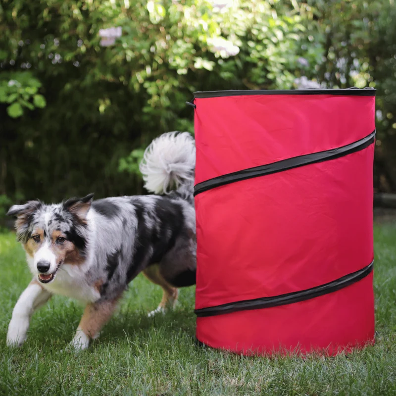 Hoopers Agility Tonne mit Tragetasche