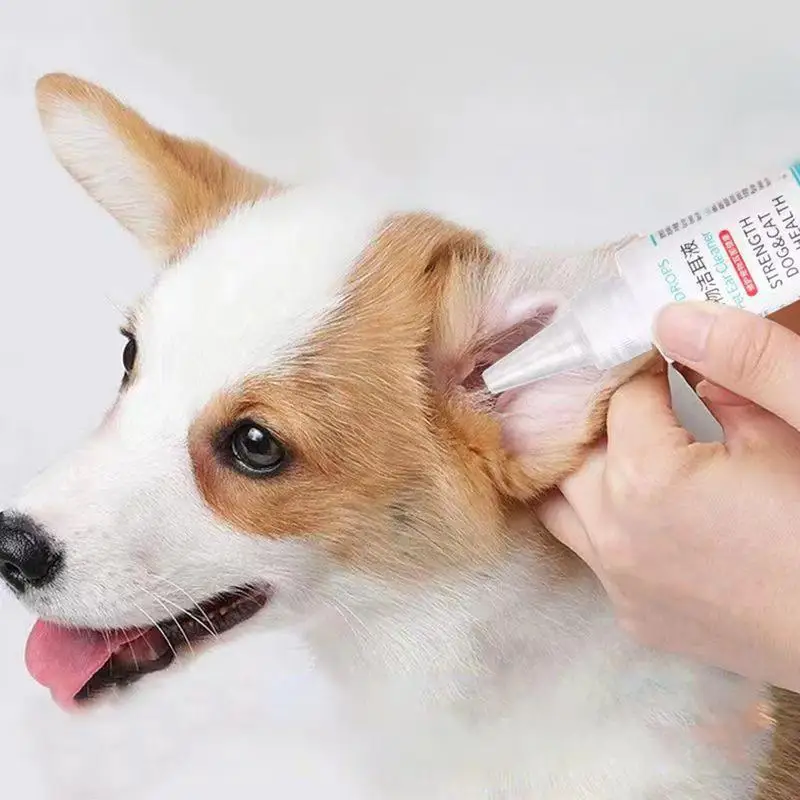 Pet Ear Cleaner Pet Ear Excess Hair Removing Powder Healthy Care 60ml Universal Dog Ear Cleaning Ear Cleaning Solution for dogs