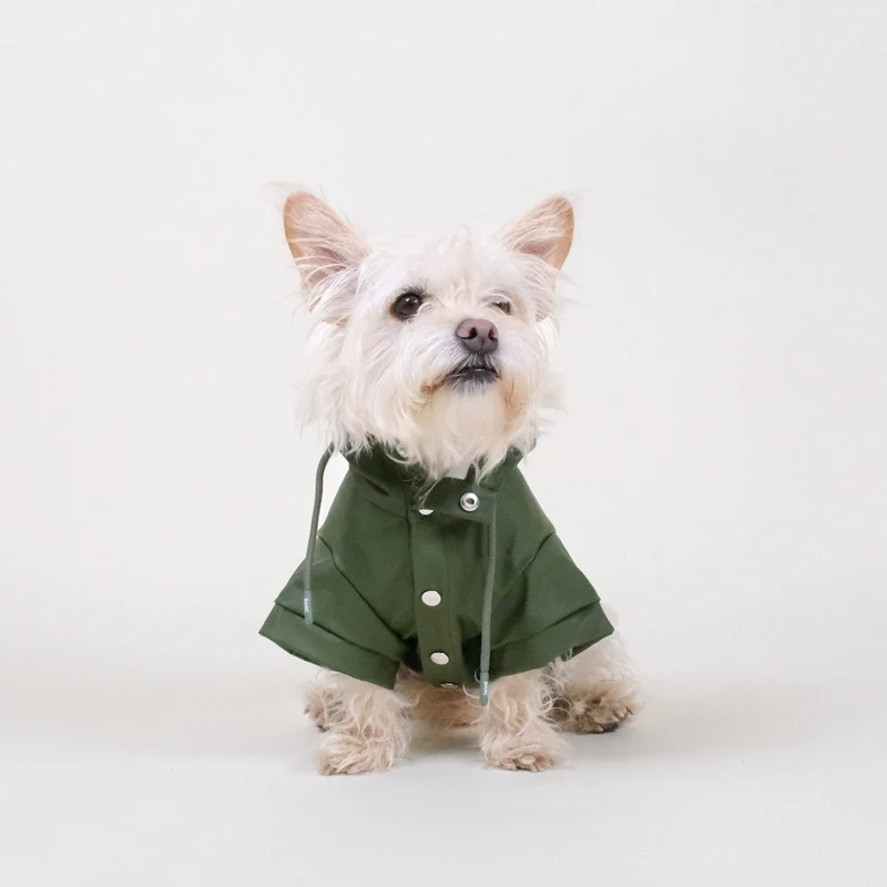 Grüner Hunderegenmantel | Stylischer Hundemantel | Wasserdichter Hundemantel